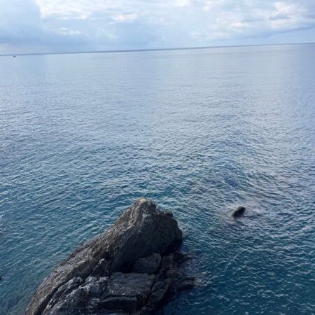 Recco – Villa with sea view